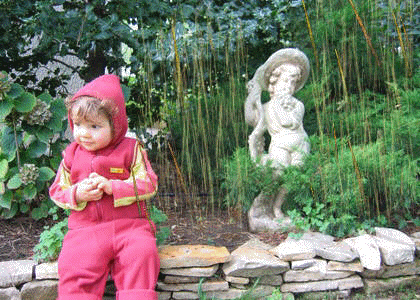 Pierrot sous la brise