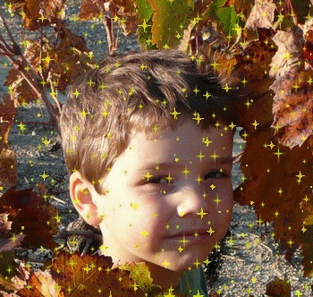 Une photo que j'aime