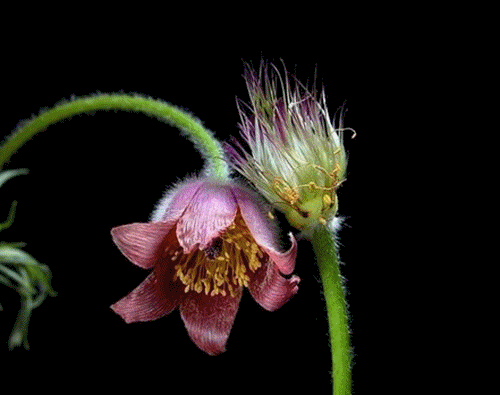 Je joue avec les couleurs!!!