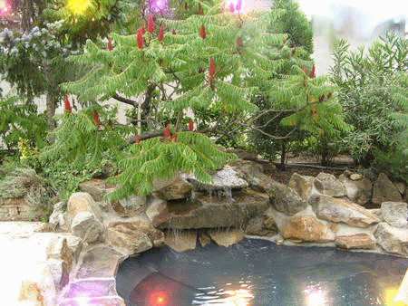 Sous les projecteurs