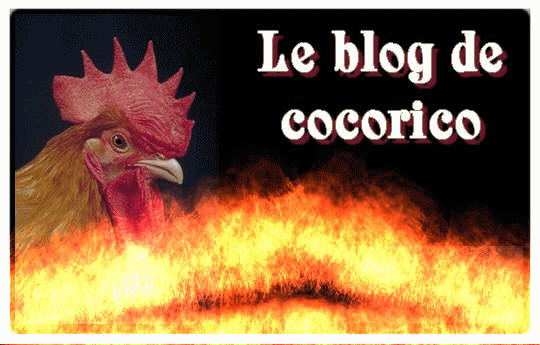 Mon blog en feu.............