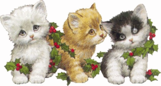 Trois p'tis chats................